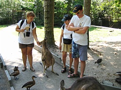 252 Wildlife Habitat Port Douglas